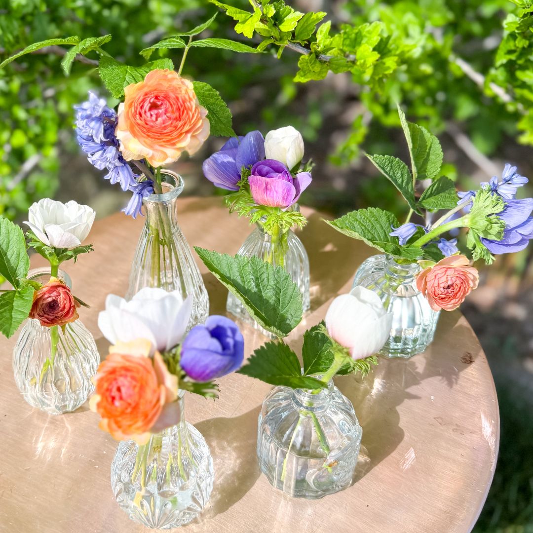 Bud Vases (Set of 6)