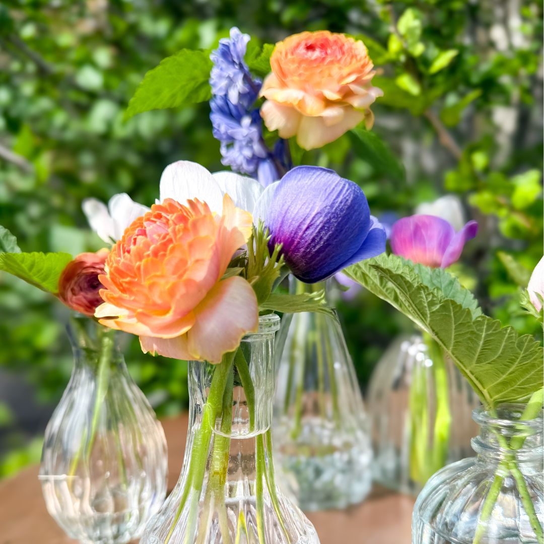 Bud Vases (Set of 6)