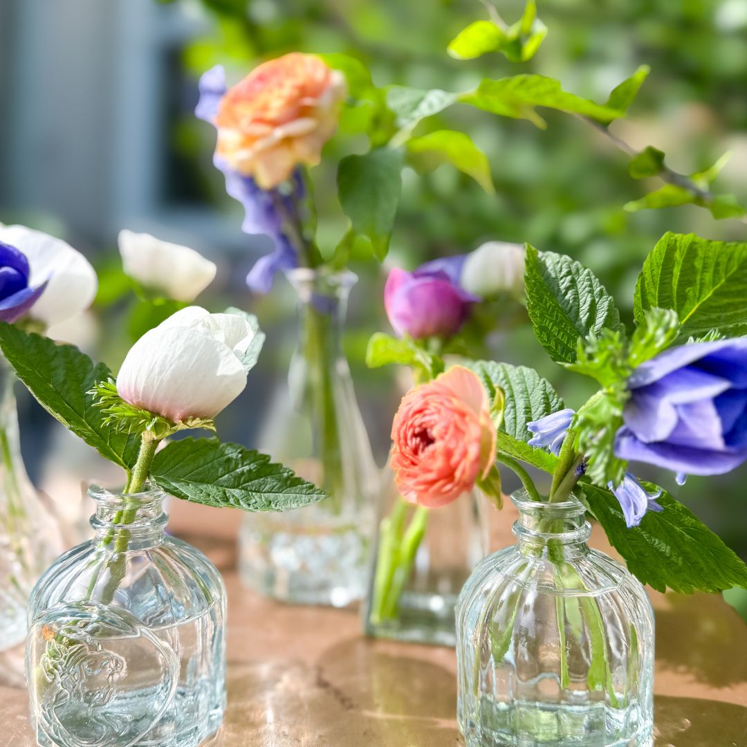 Bud Vases (Set of 6)