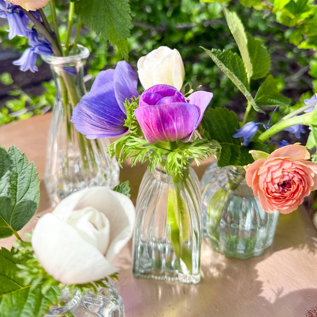 Bud Vases (Set of 6)