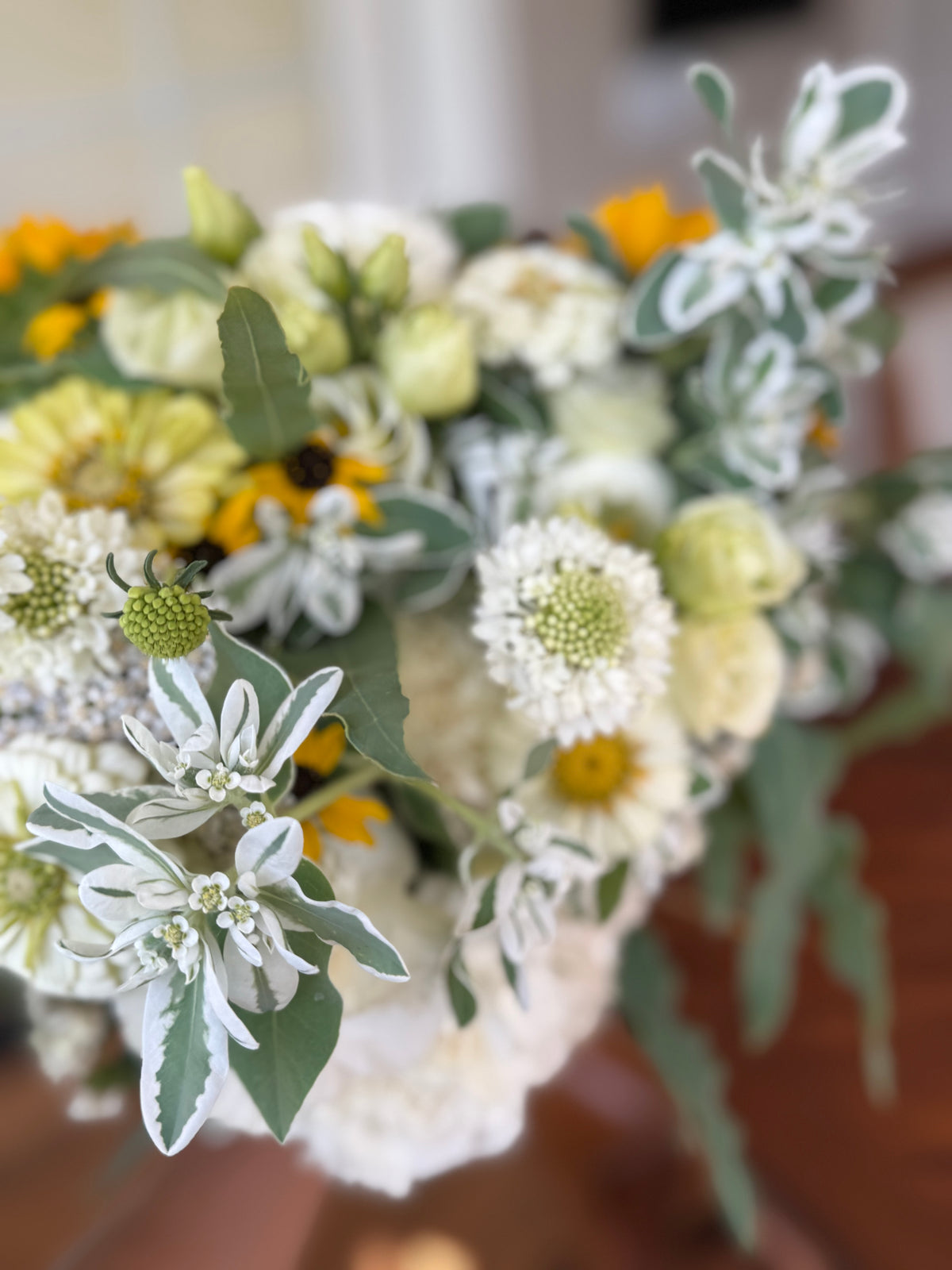6-Week Farm Fresh Bouquet Subscriptions