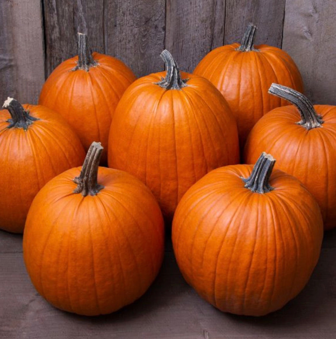 Pumpkin Howden Pumpkin - SINGLE