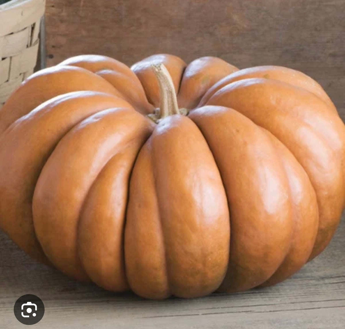 Pumpkin Fairytale - SINGLE