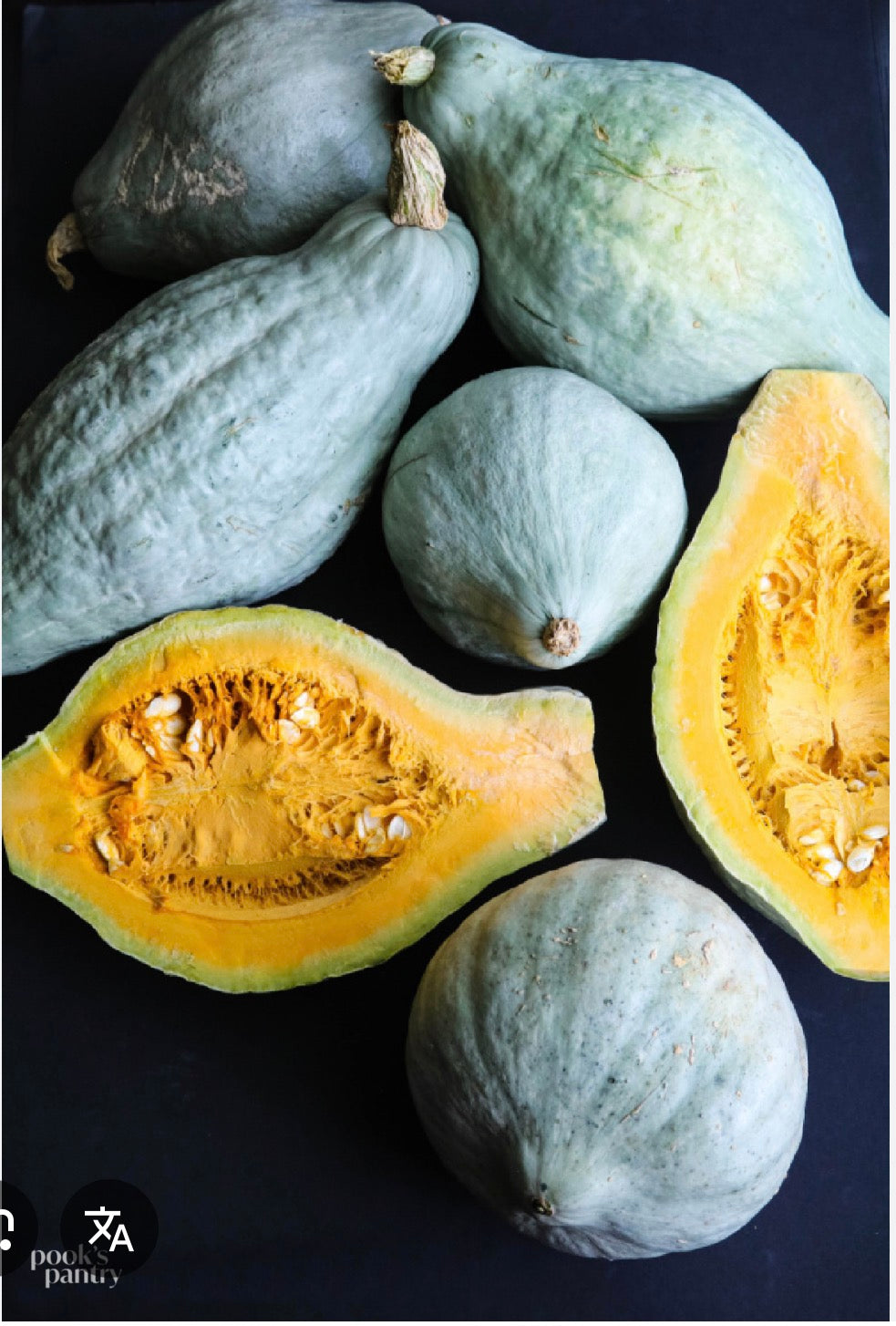Pumpkin - Blue Hubbard - SINGLE