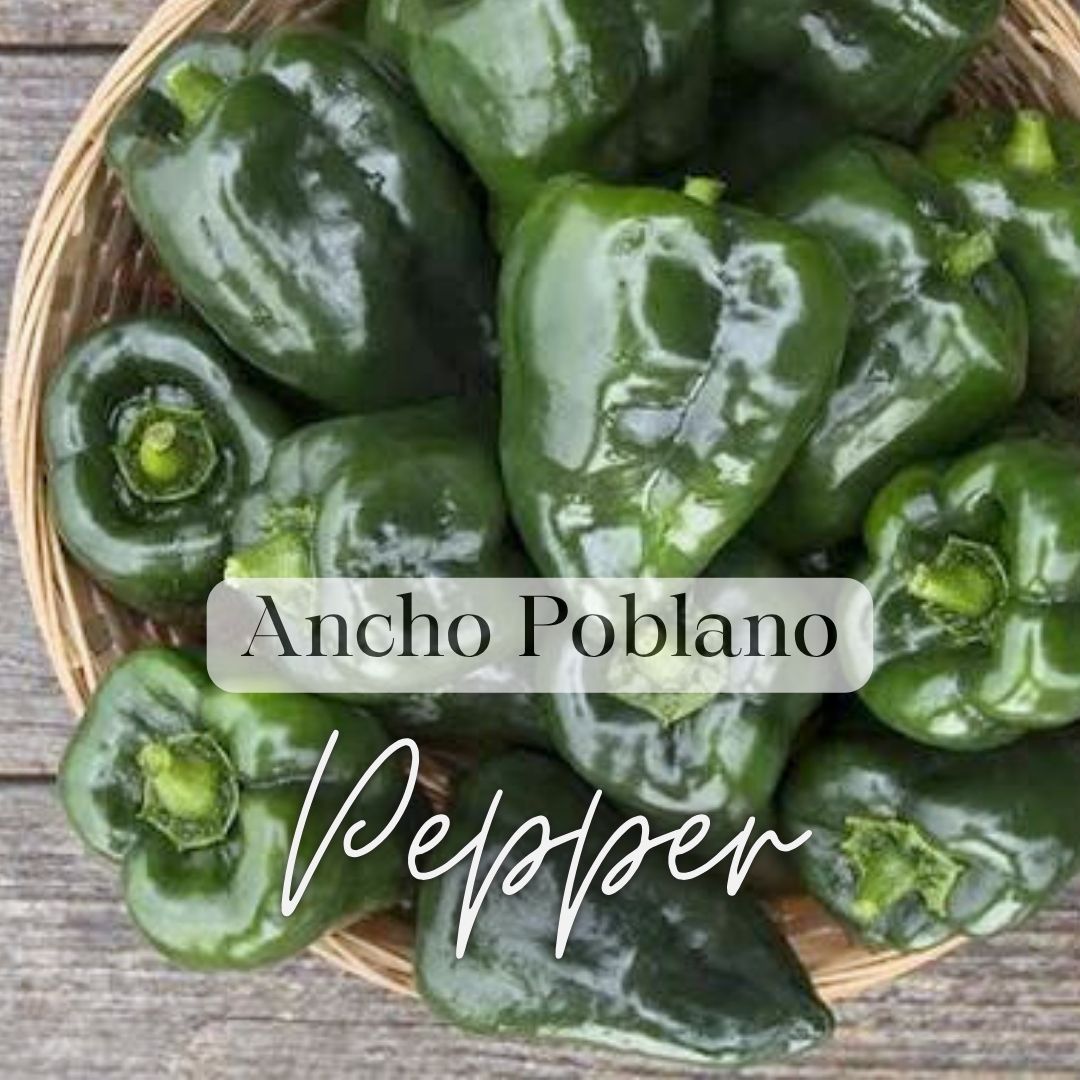 Pepper Essentials 6-Pack