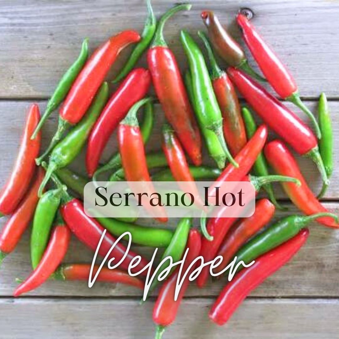 Pepper - Serrano - SINGLE