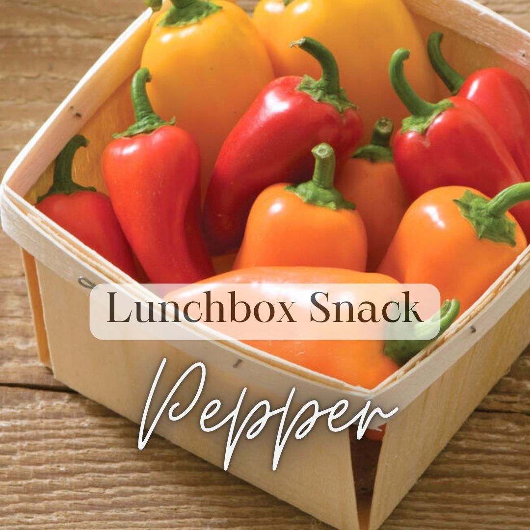 Pepper - Lunch Box Mix - SINGLE