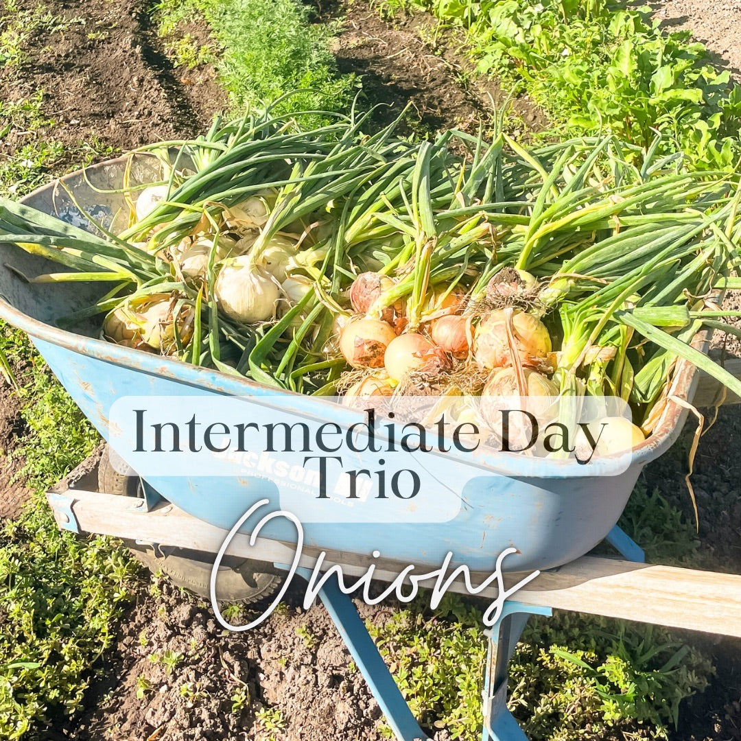 Salsas & Sauces Growers Kit