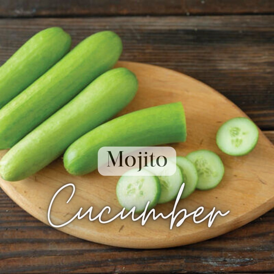 Cucumber Sampler 6-Pack