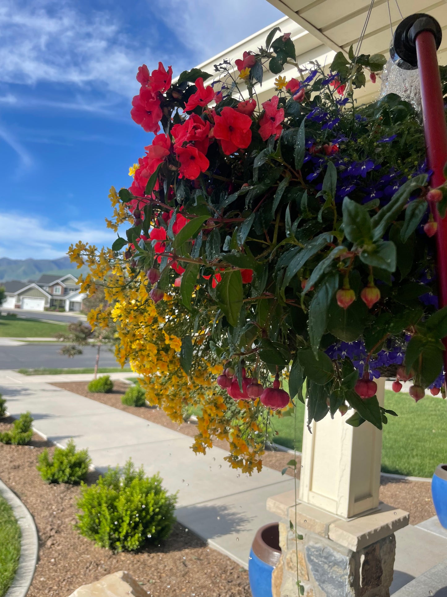 Custom Pots & Planters