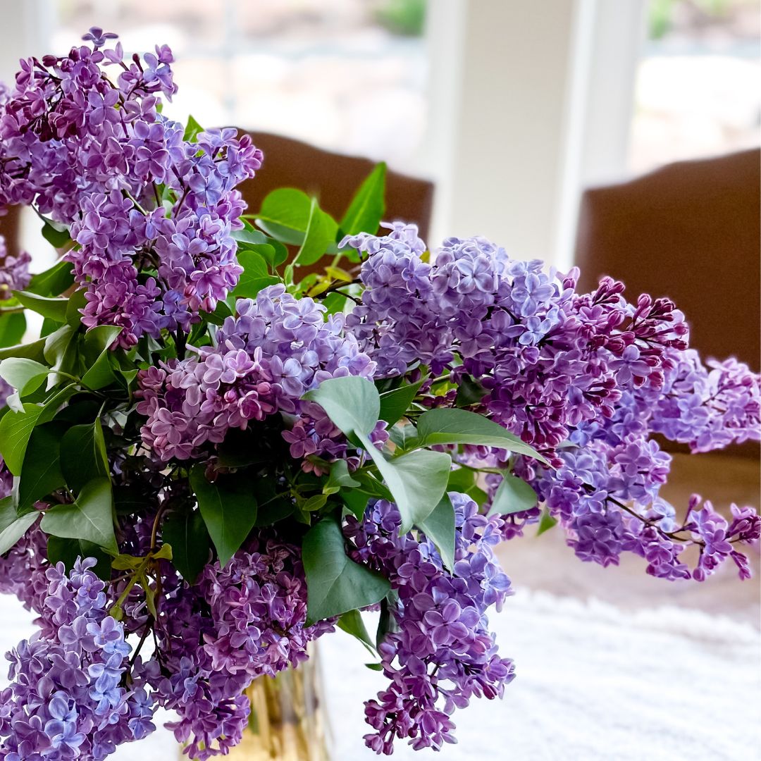 Wholesale Flowers