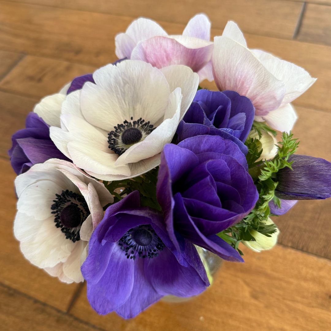 Wholesale Flowers