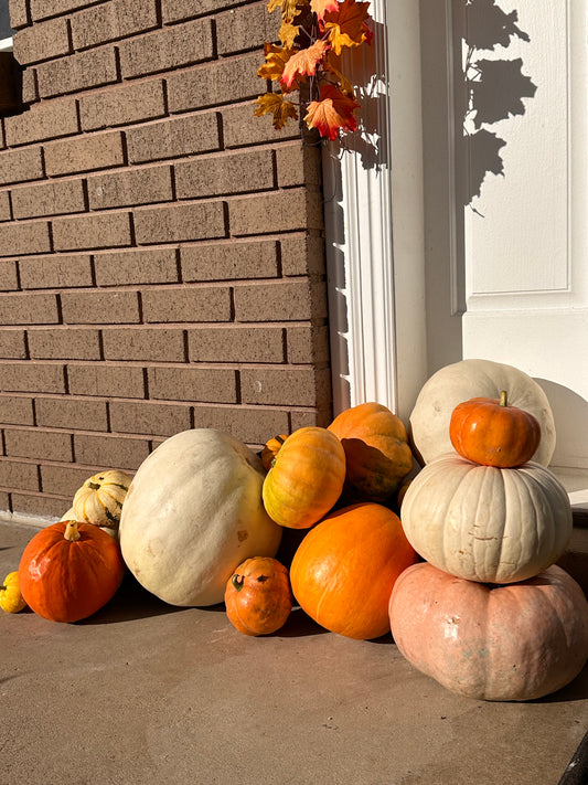 Pumpkin Disposal