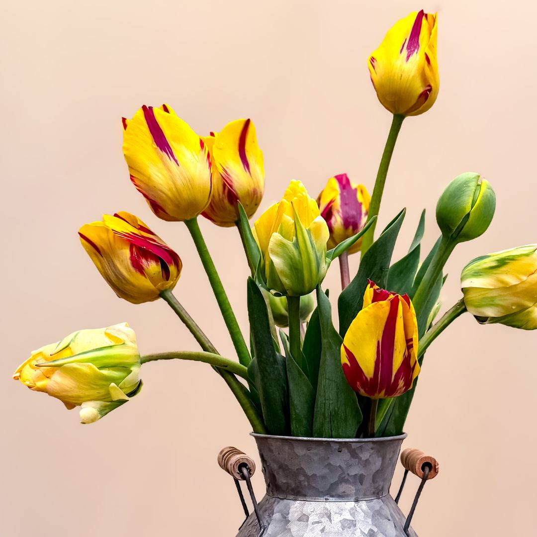 Floral Gifts
