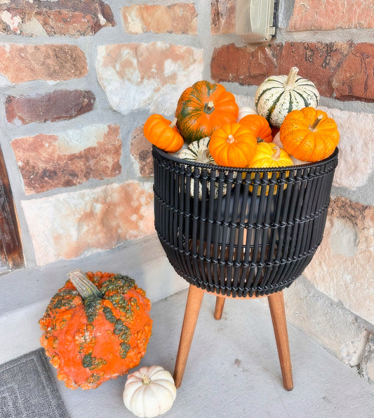 5 Mini Pumpkins