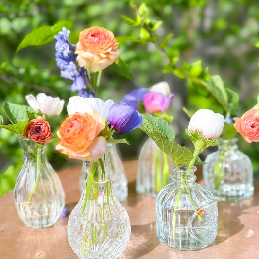 Bud Vases (Set of 6)