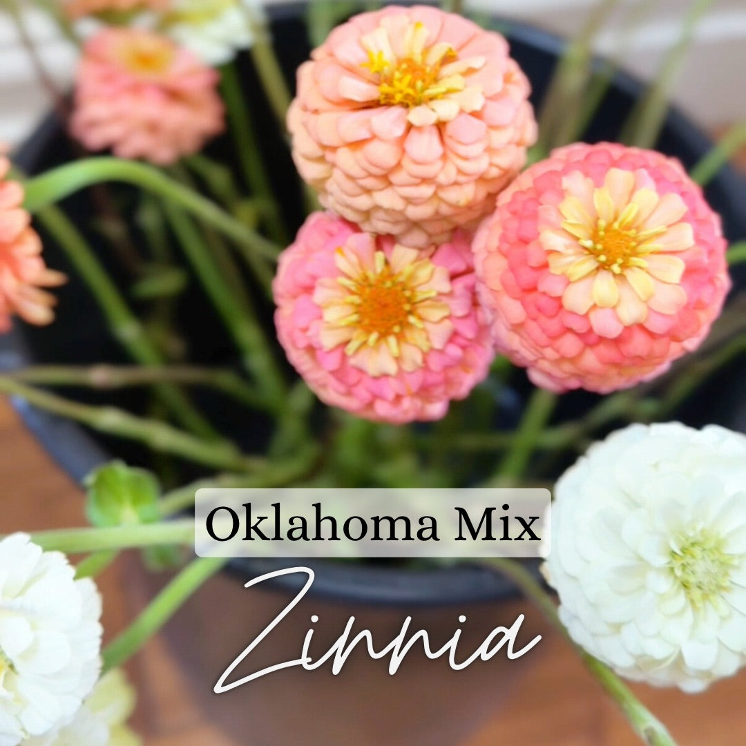 Custom Cut Flower Growers Kit - Warm Weather