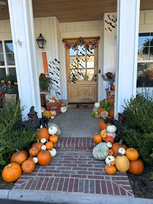 Pumpkin Set Up & Design