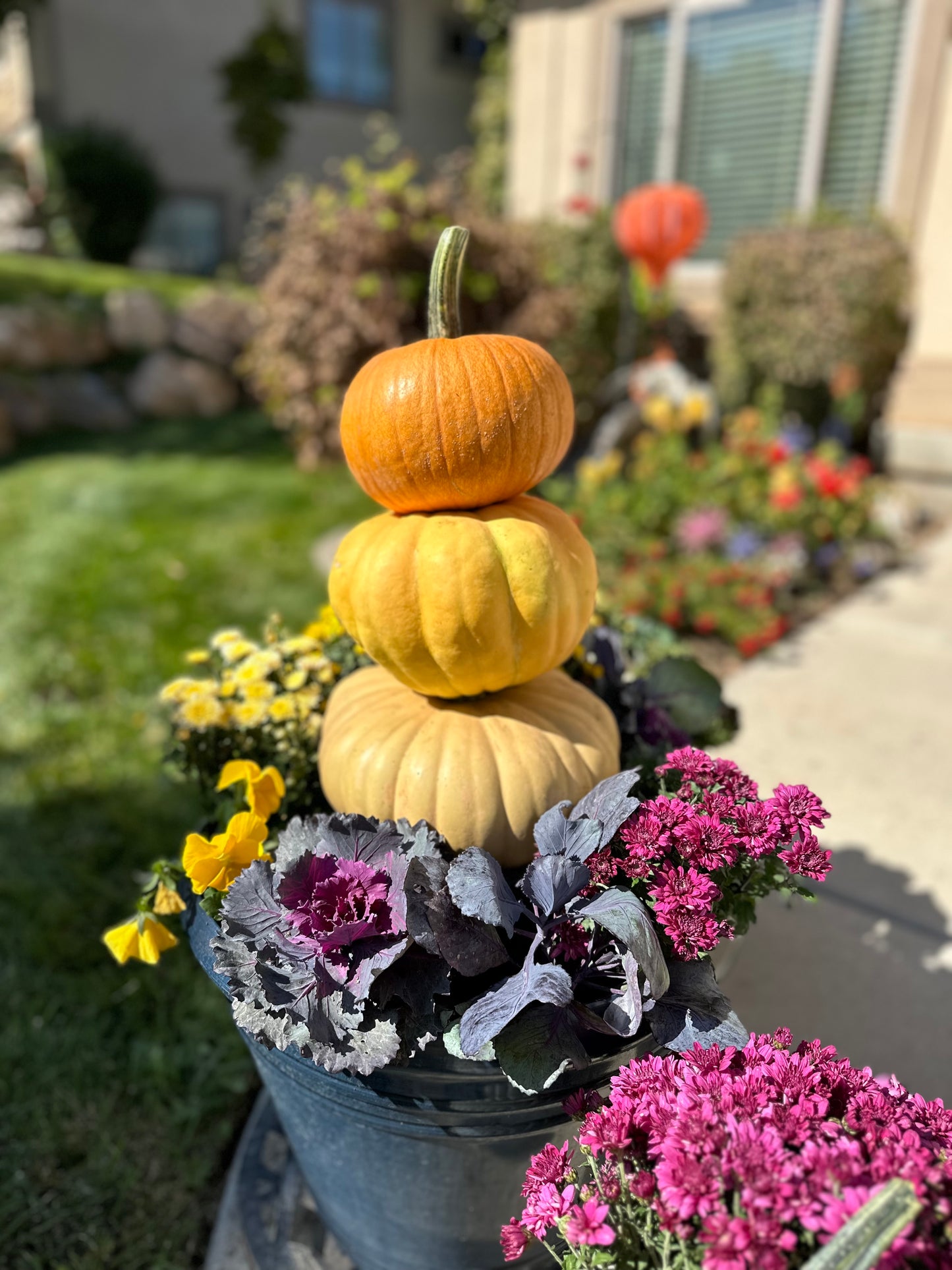 Pumpkin Set Up & Design