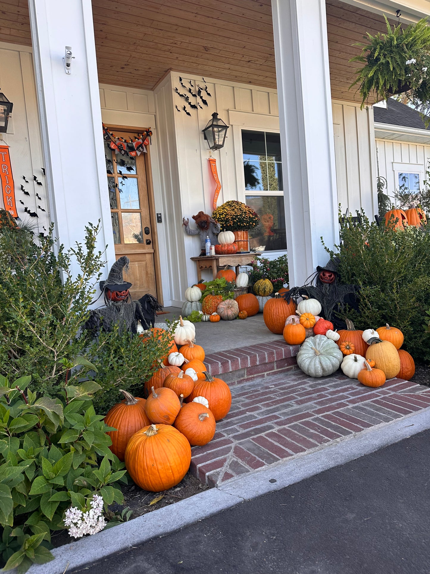 Pumpkin Set Up & Design