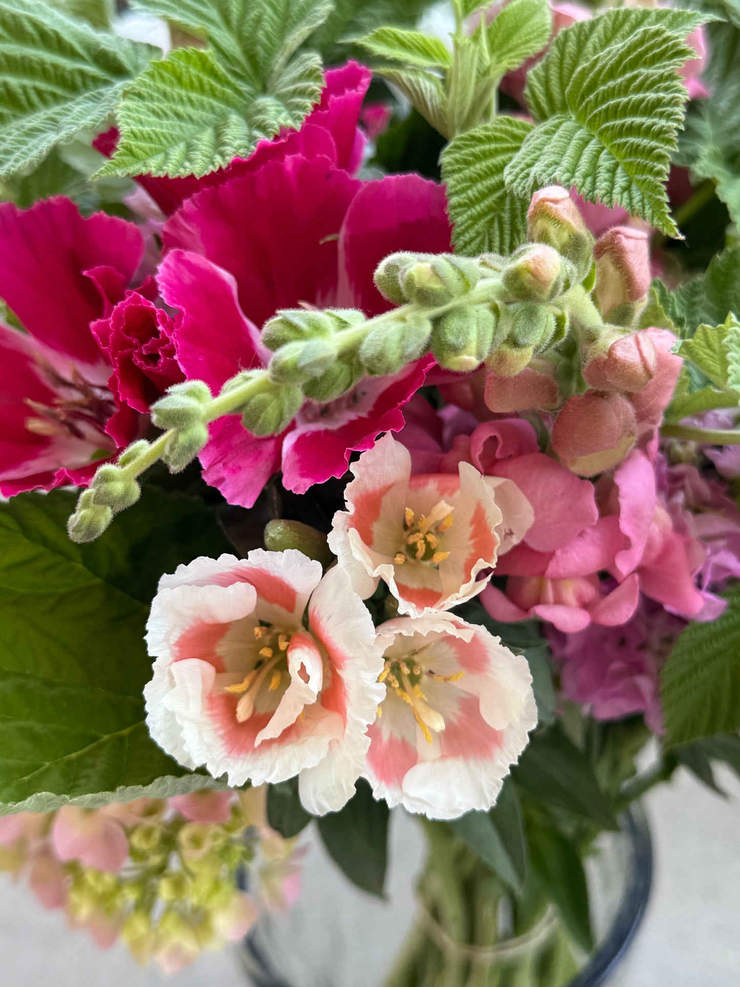 Spring 2026 Bouquet Subscription