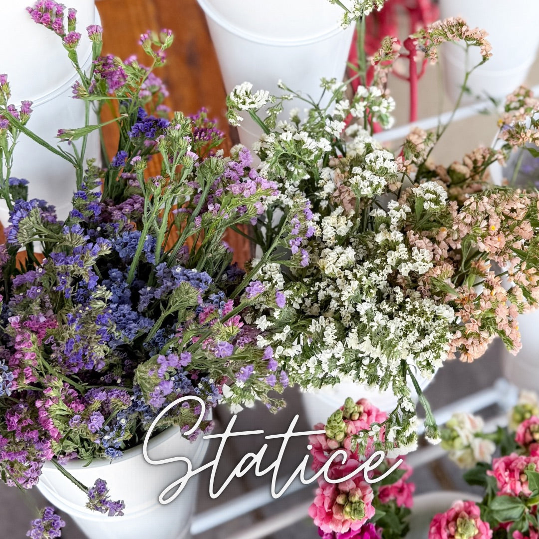 Custom Cut Flower Growers Kit - Cool Weather