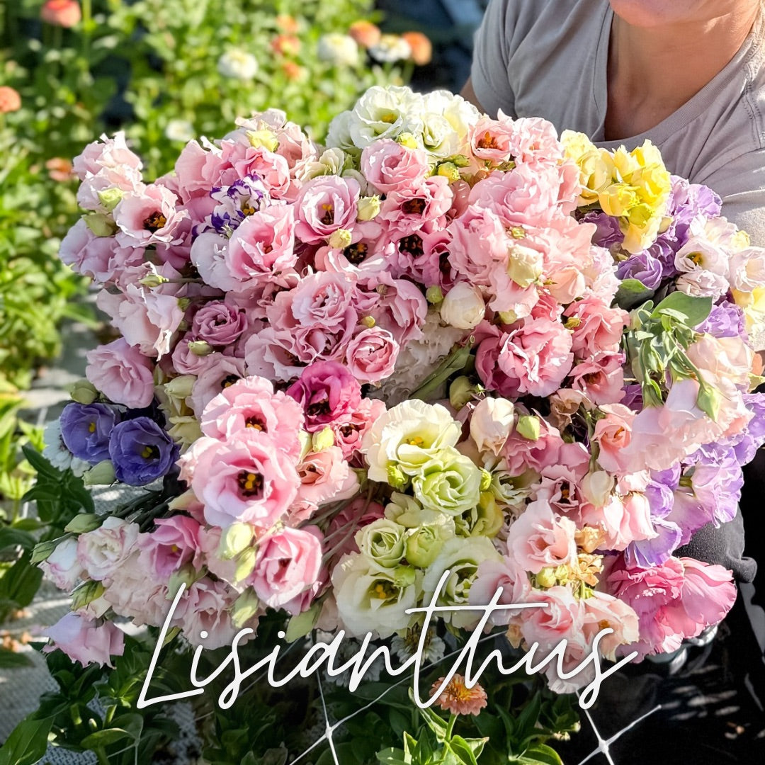 Custom Cut Flower Growers Kit - Cool Weather