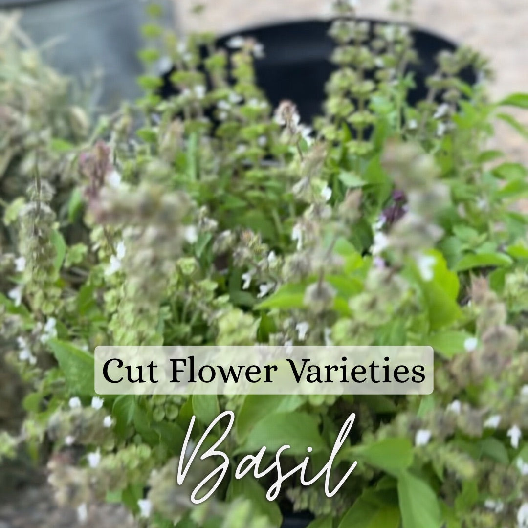 Custom Cut Flower Growers Kit - Warm Weather