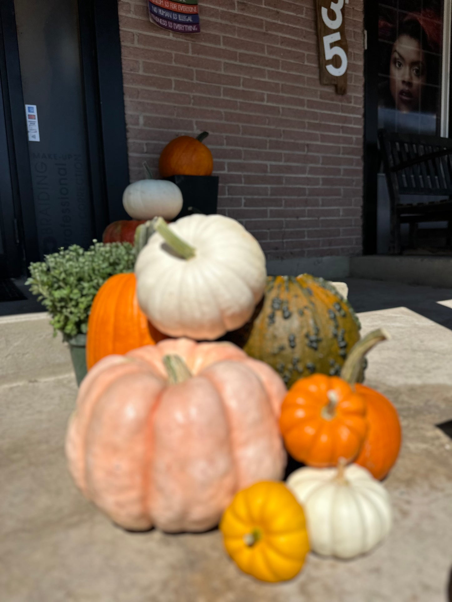 Specialty Pumpkins