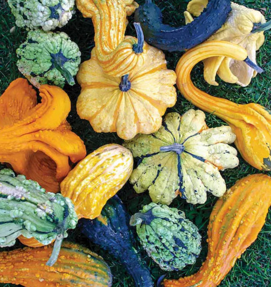 3 Gourds
