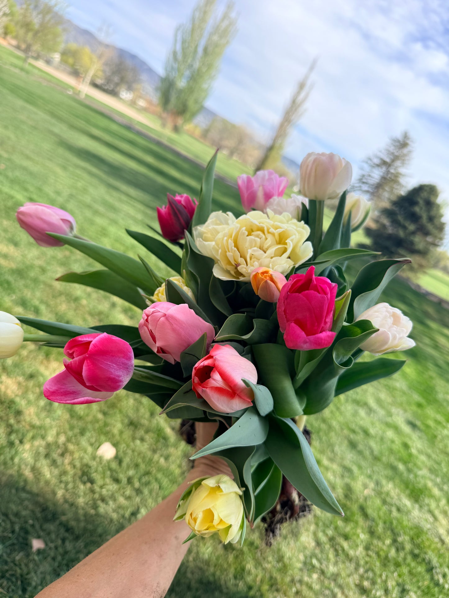Spring Bouquets