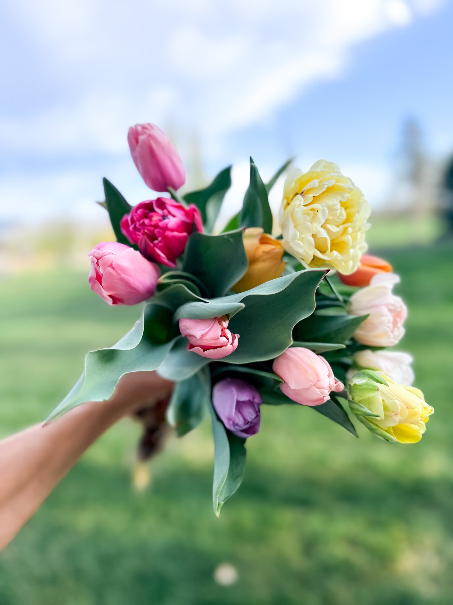 Spring Bouquets