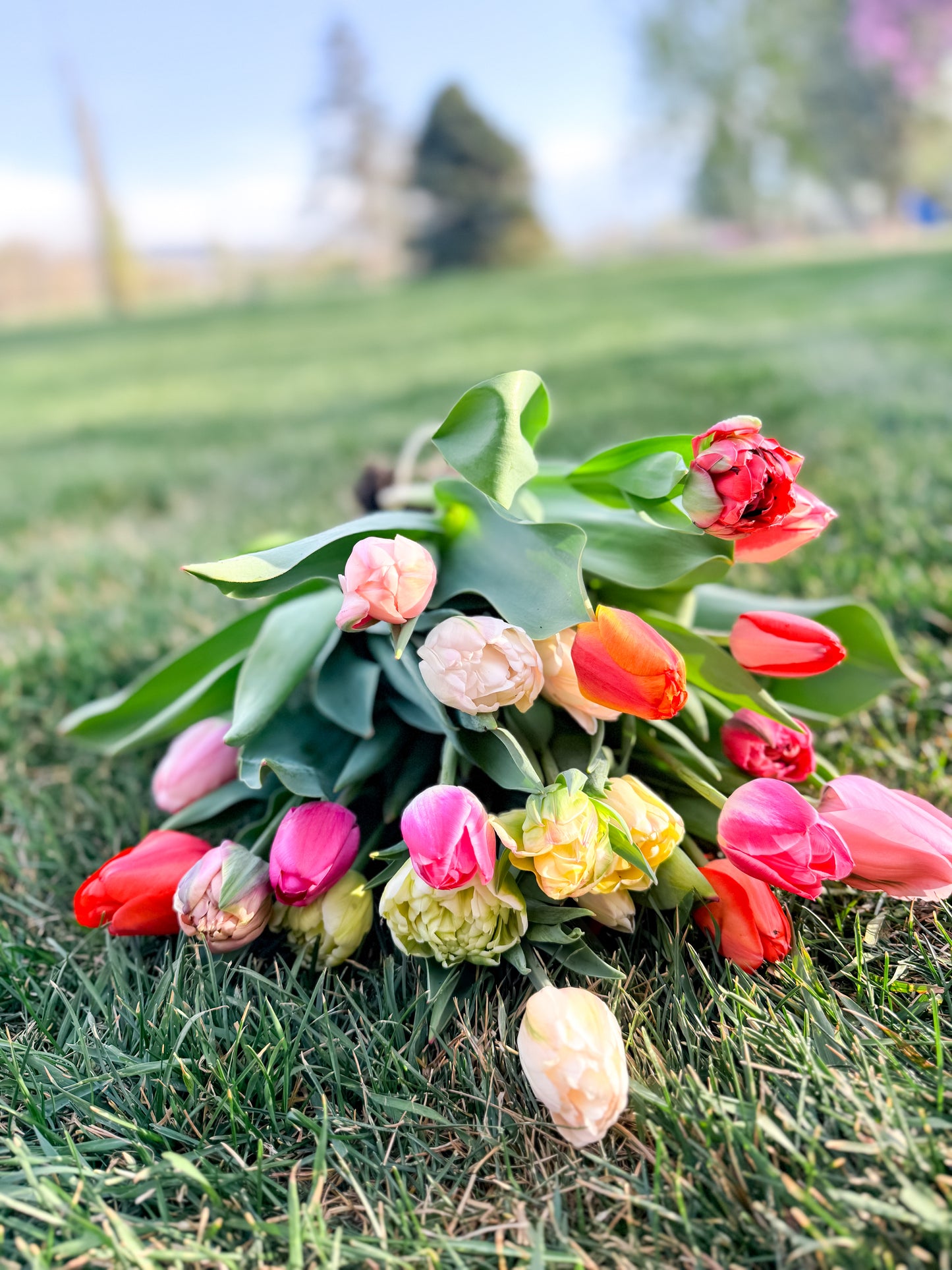 Spring Bouquets