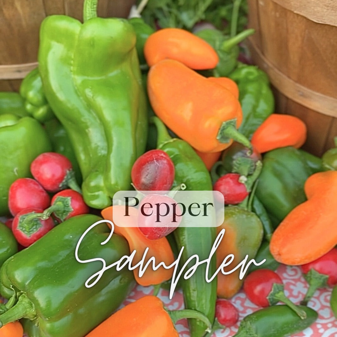 Salsas & Sauces Growers Kit