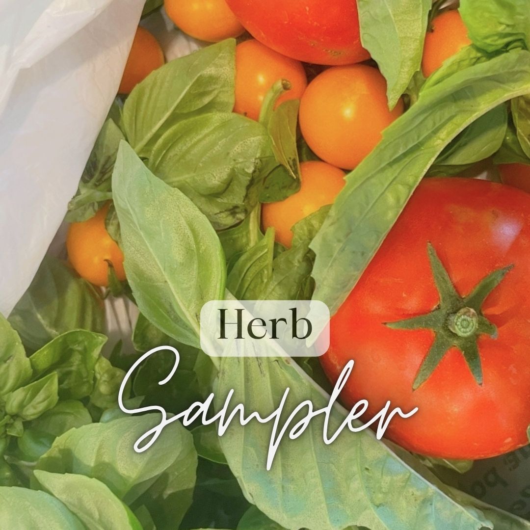 Warm Weather Kitchen Garden Kit