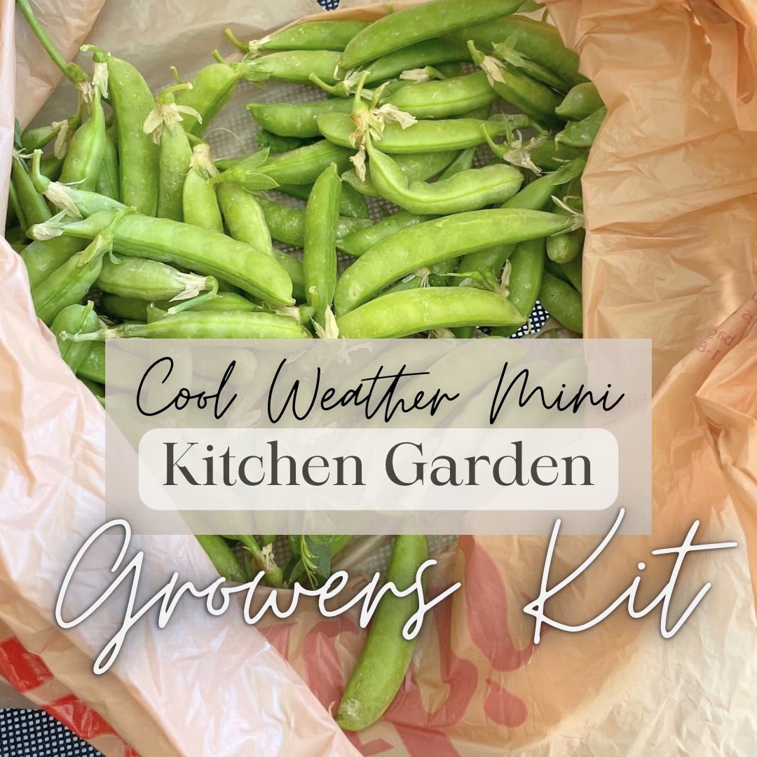 Cool Weather Kitchen Garden Kit