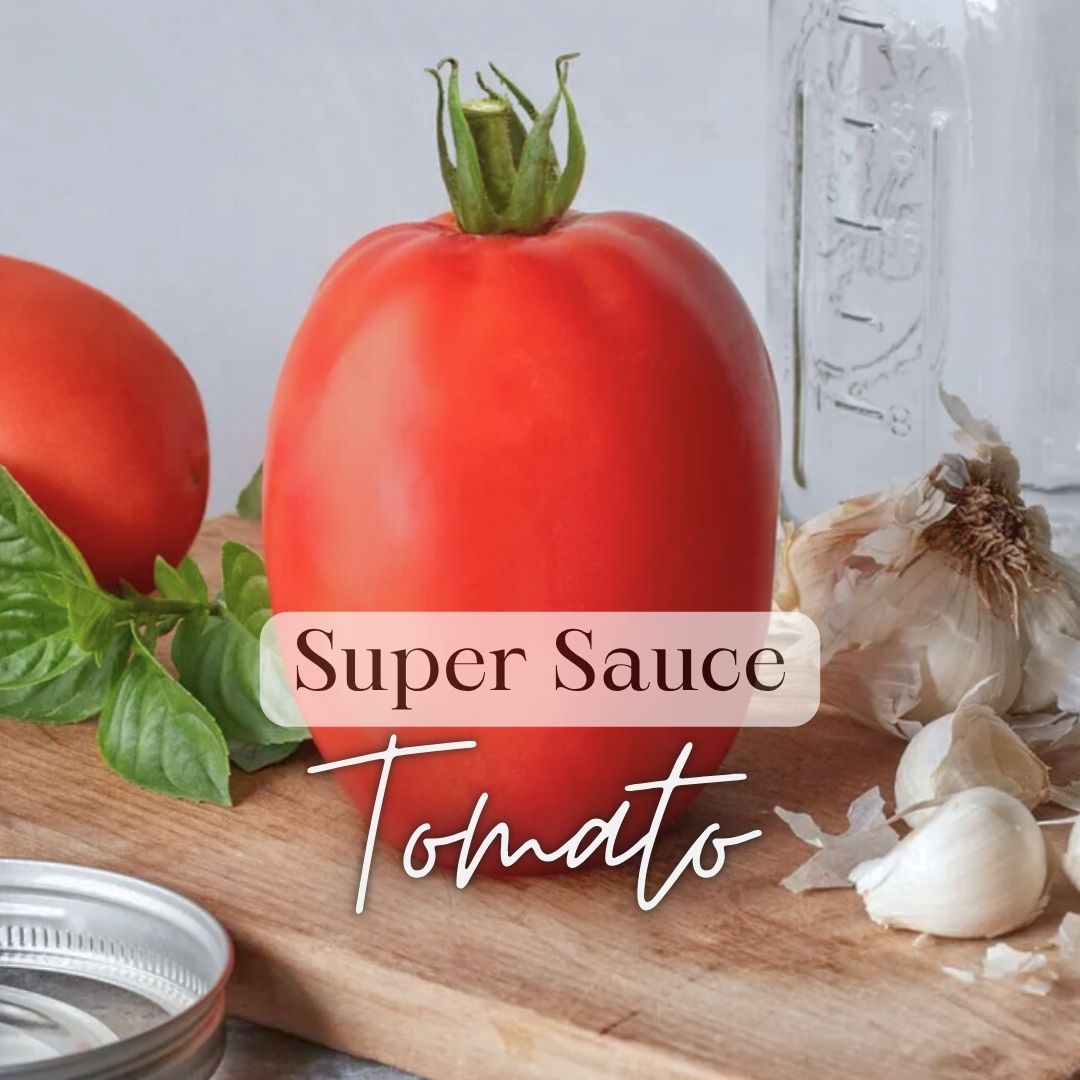 Salsas & Sauces Growers Kit