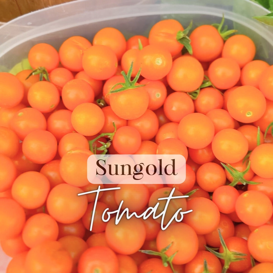 Salsas & Sauces Growers Kit