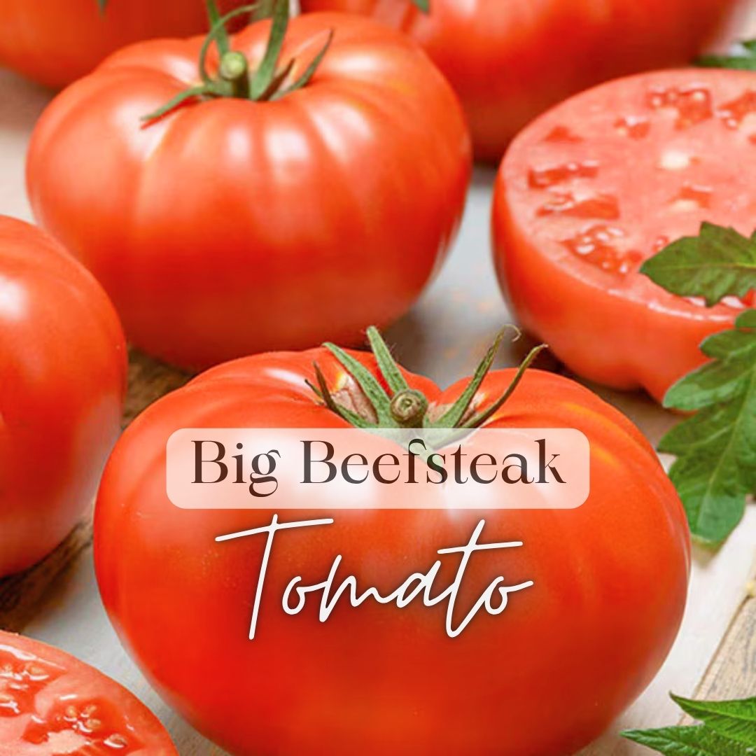 Salsas & Sauces Growers Kit