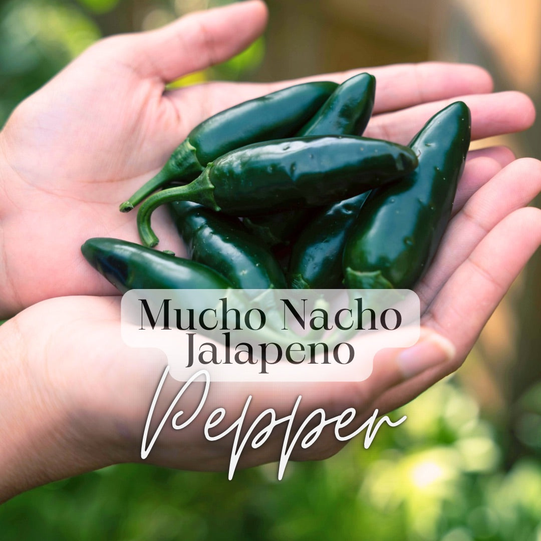 Salsas & Sauces Growers Kit