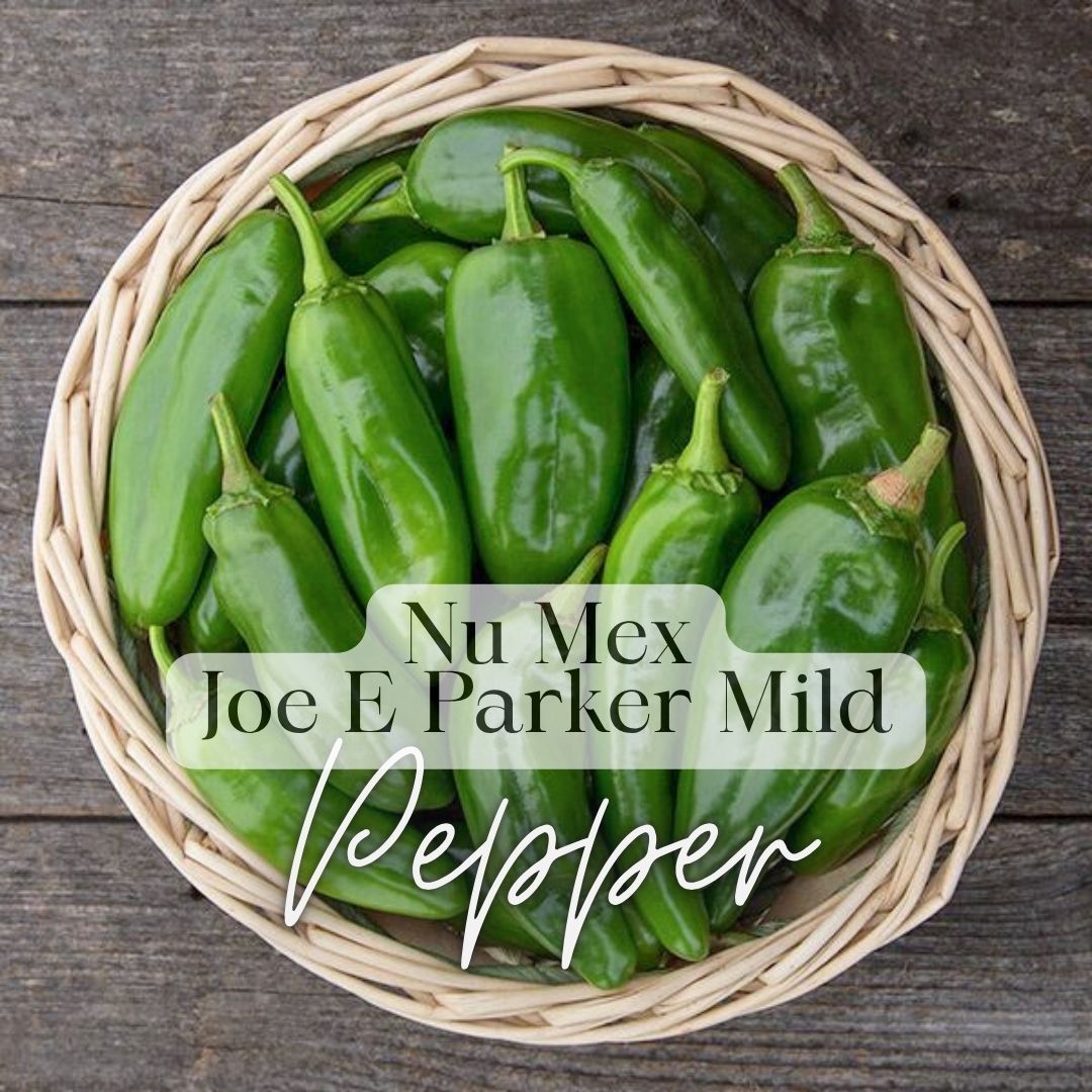 Salsas & Sauces Growers Kit