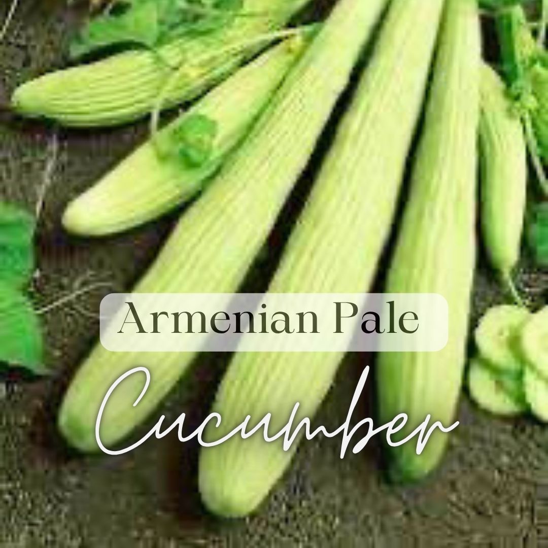 Warm Weather Kitchen Garden Kit