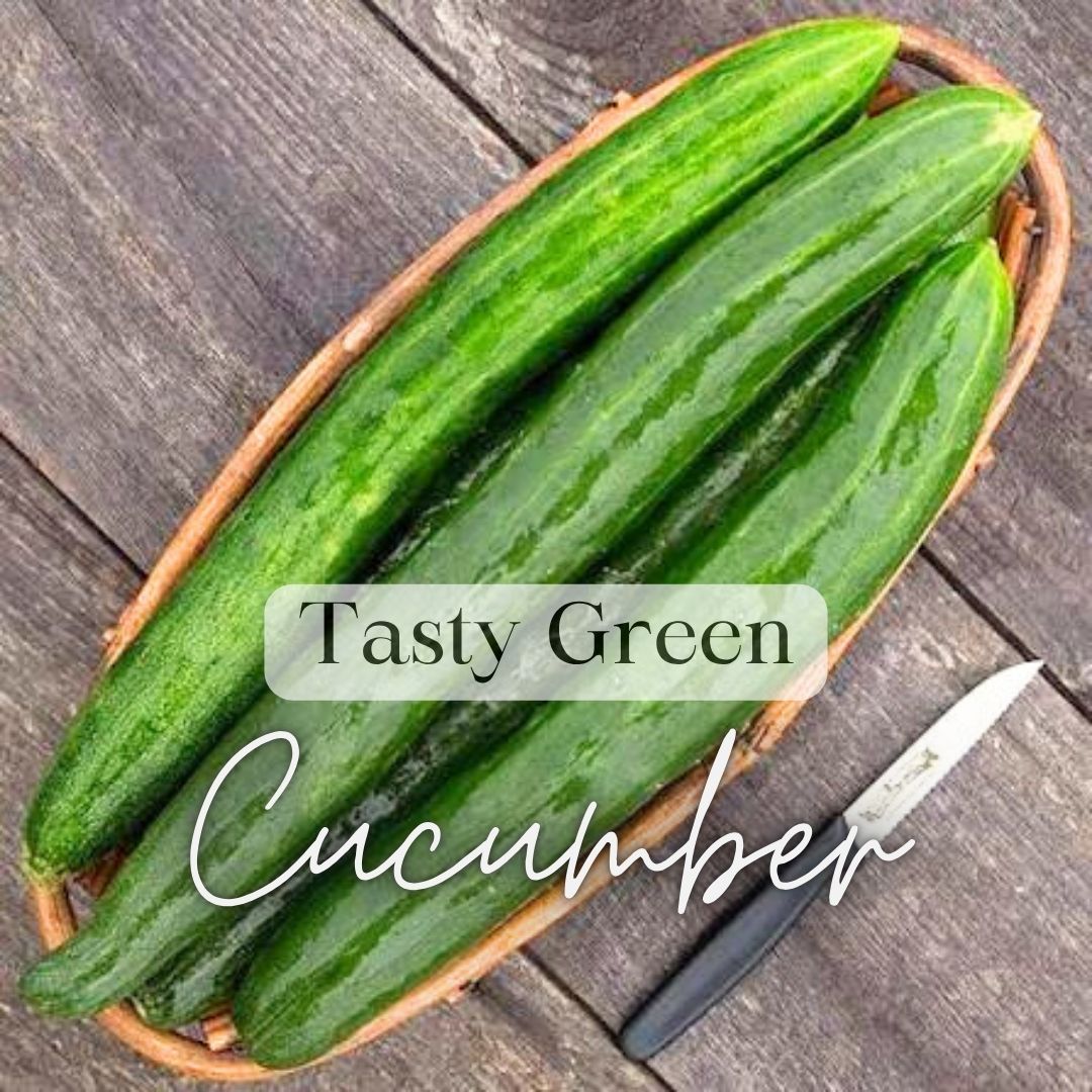 Warm Weather Kitchen Garden Kit