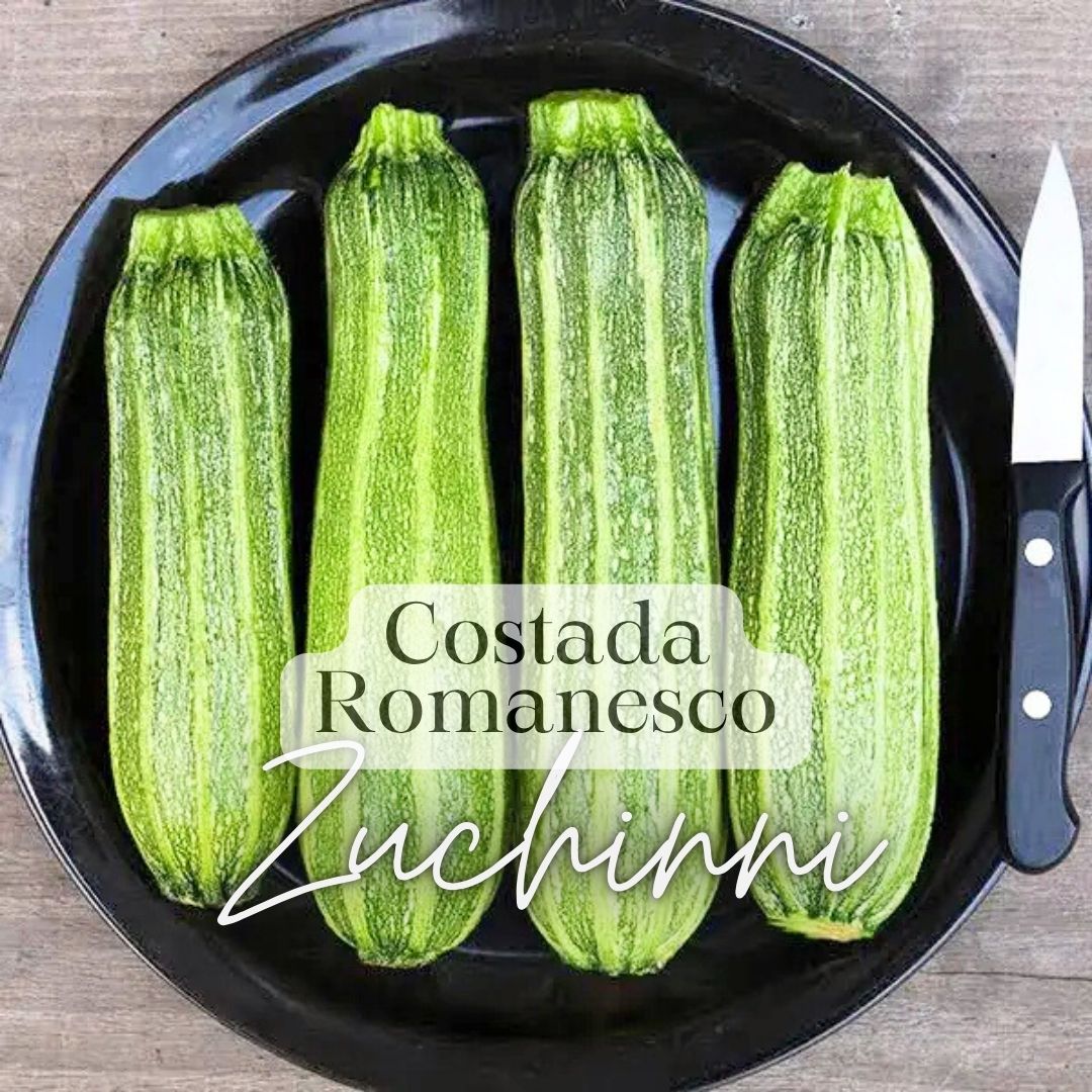 Warm Weather Kitchen Garden Kit