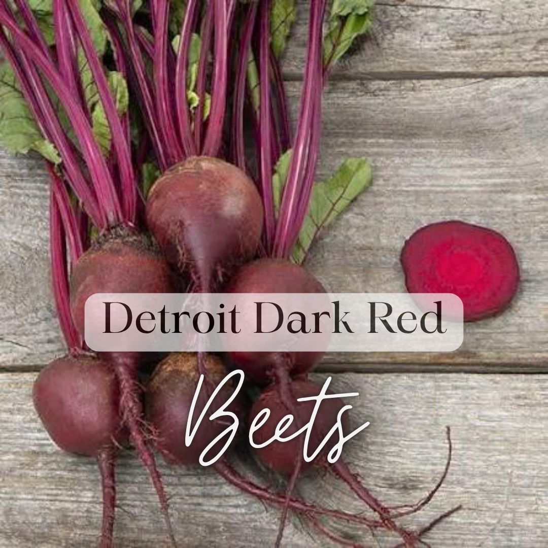 Cool Veggies Seed Favorites