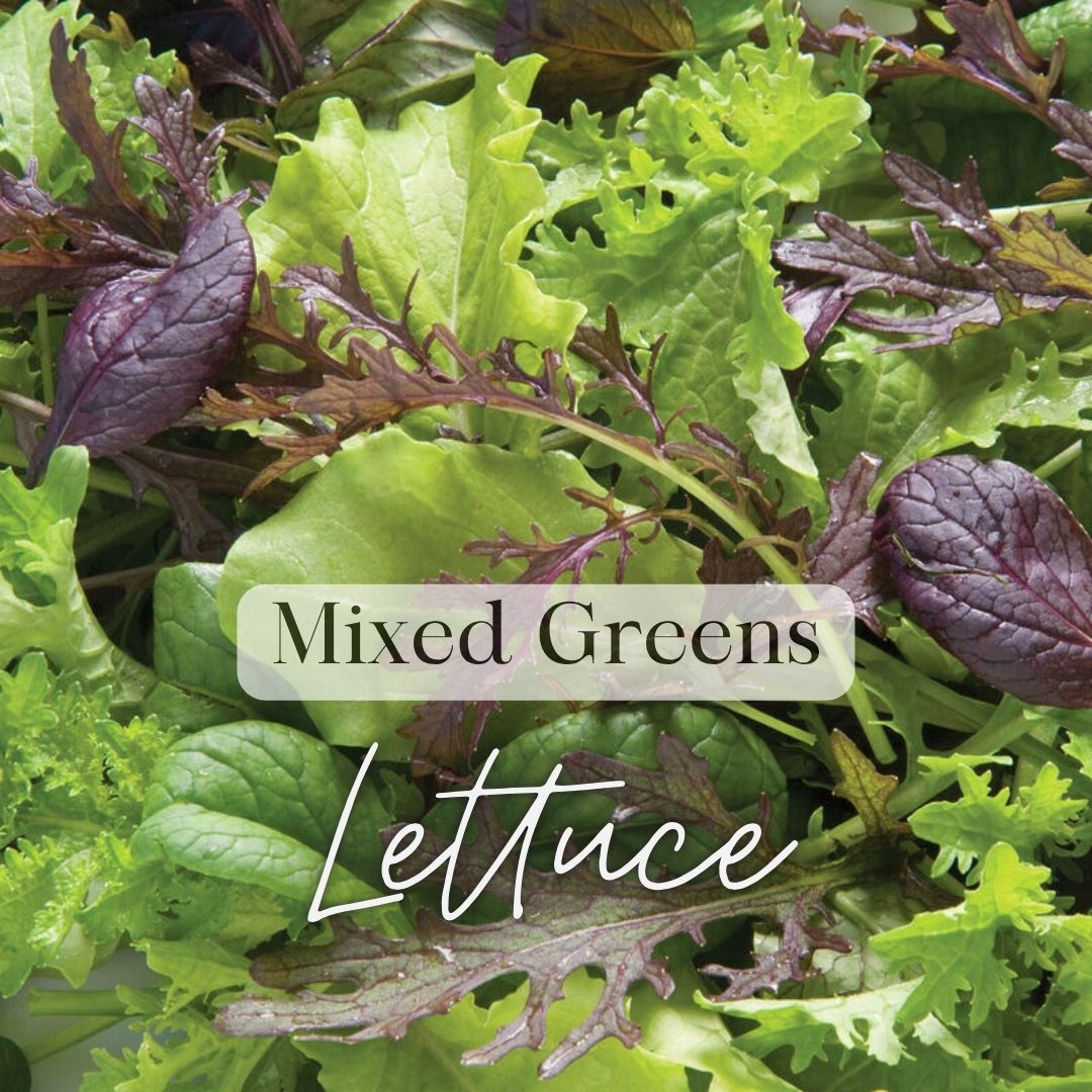 Cool Veggies Seed Favorites