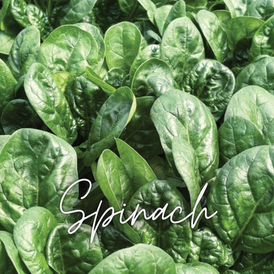 Cool Veggies Seed Favorites