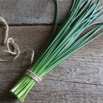 Cool Weather Kitchen Garden Kit