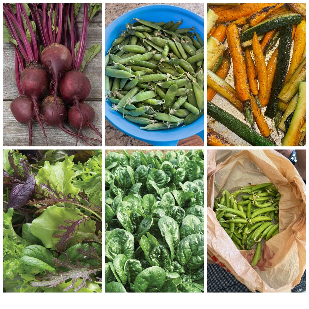 Cool Veggies Seed Favorites