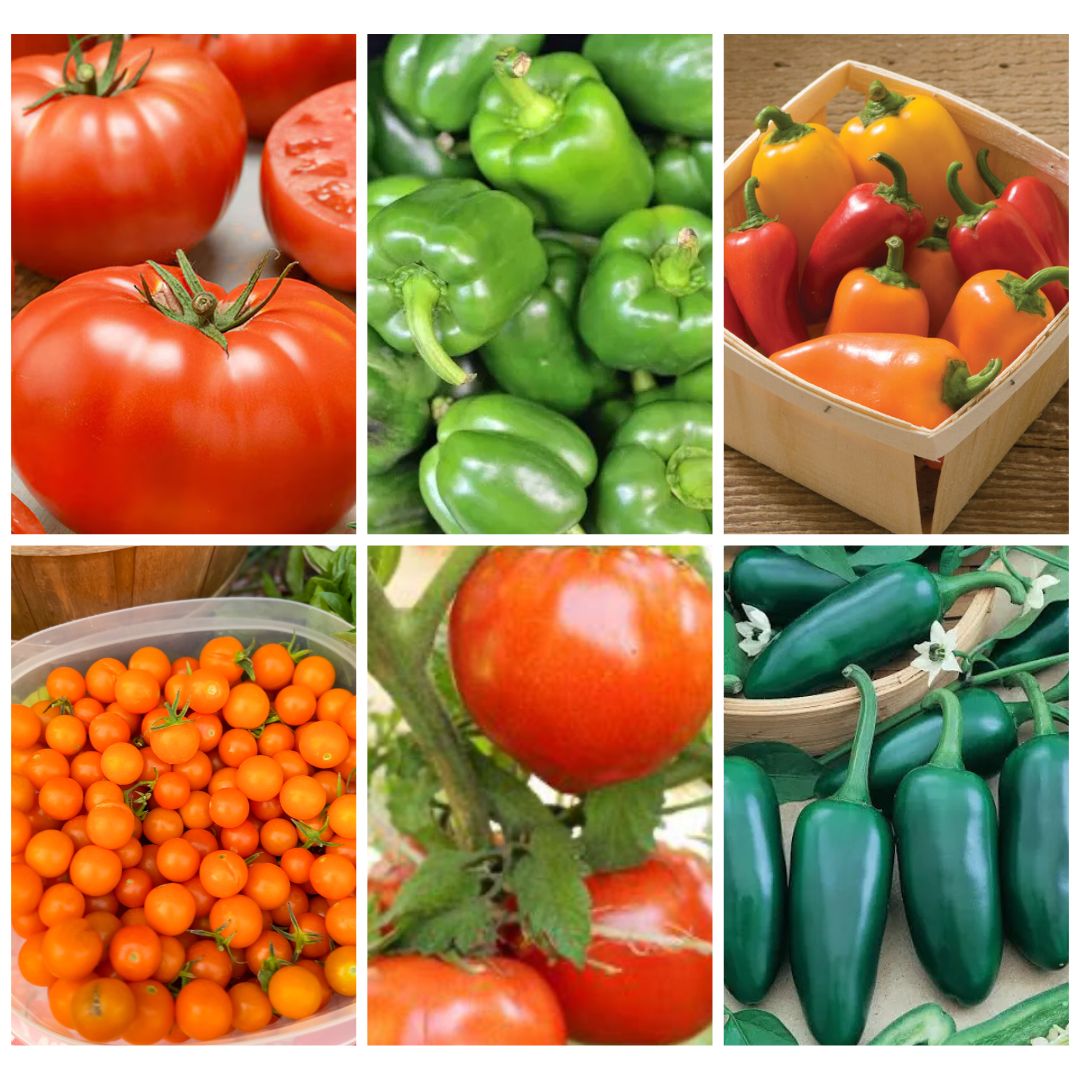 Tomato & Pepper Sampler 6-Pack